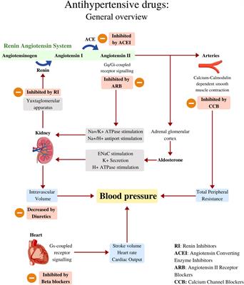 The Use of <mark class="highlighted">Antihypertensive Drugs</mark> as Coadjuvant Therapy in Cancer